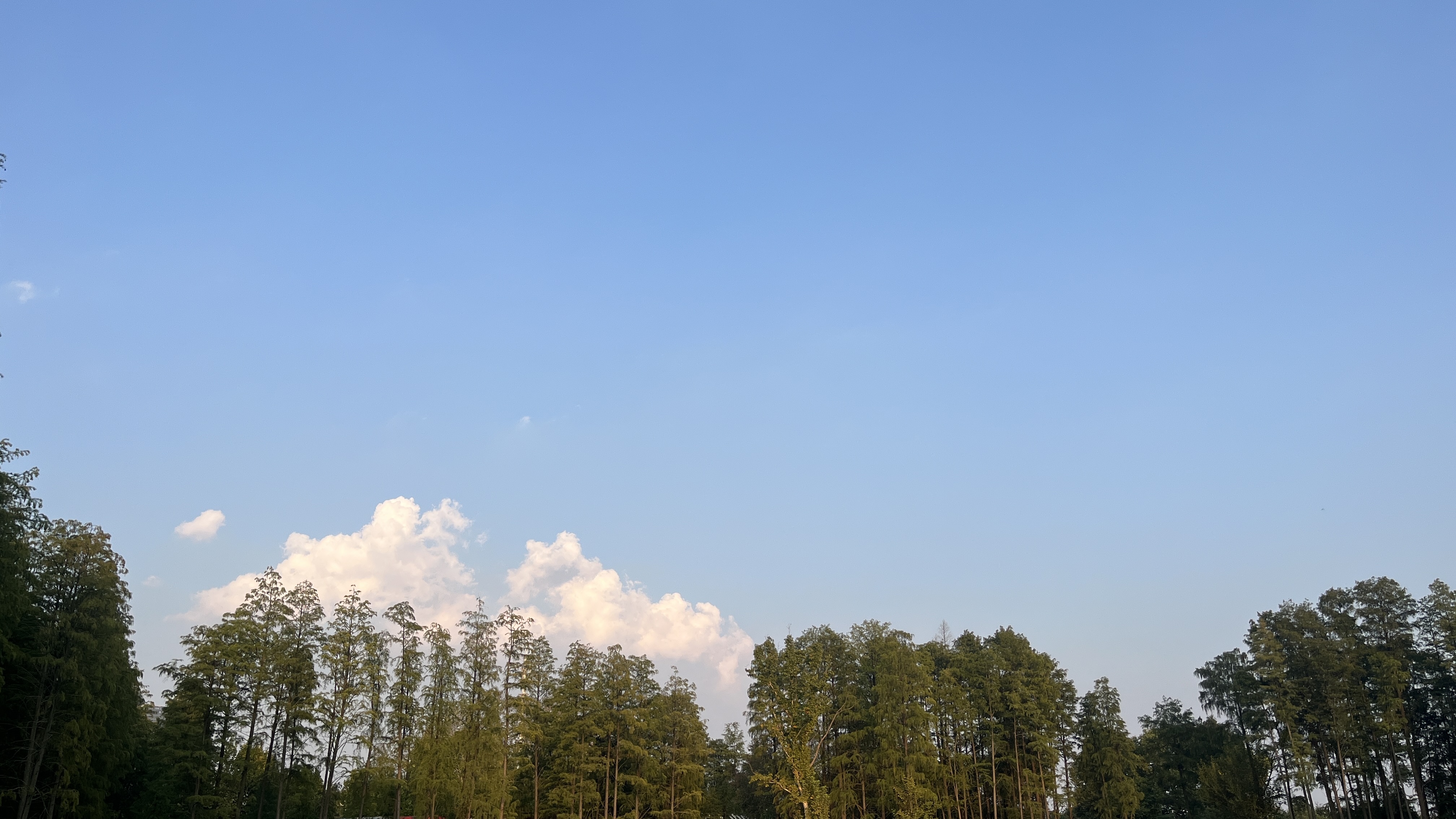 cloud00009.JPG
