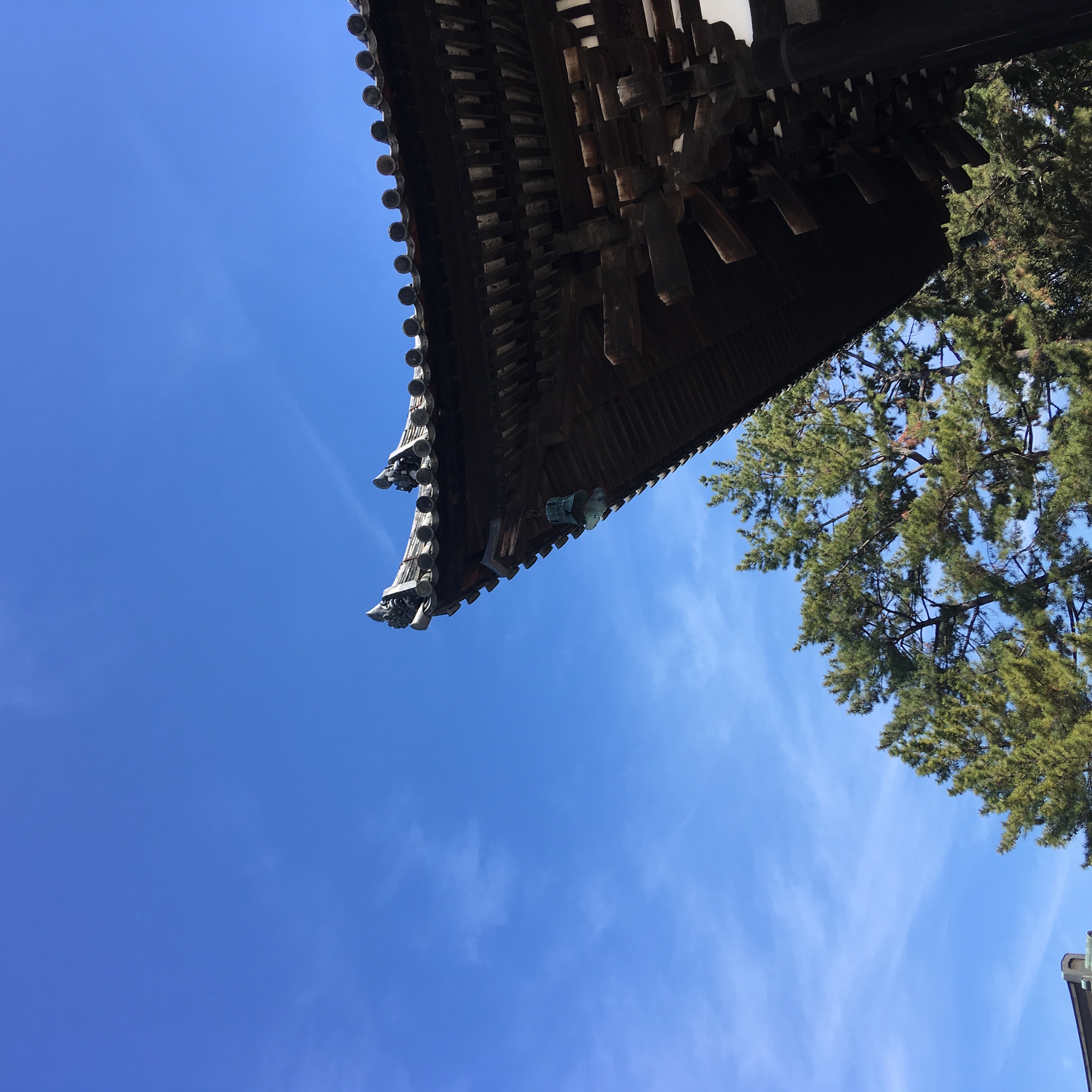 tokyo00008.JPG